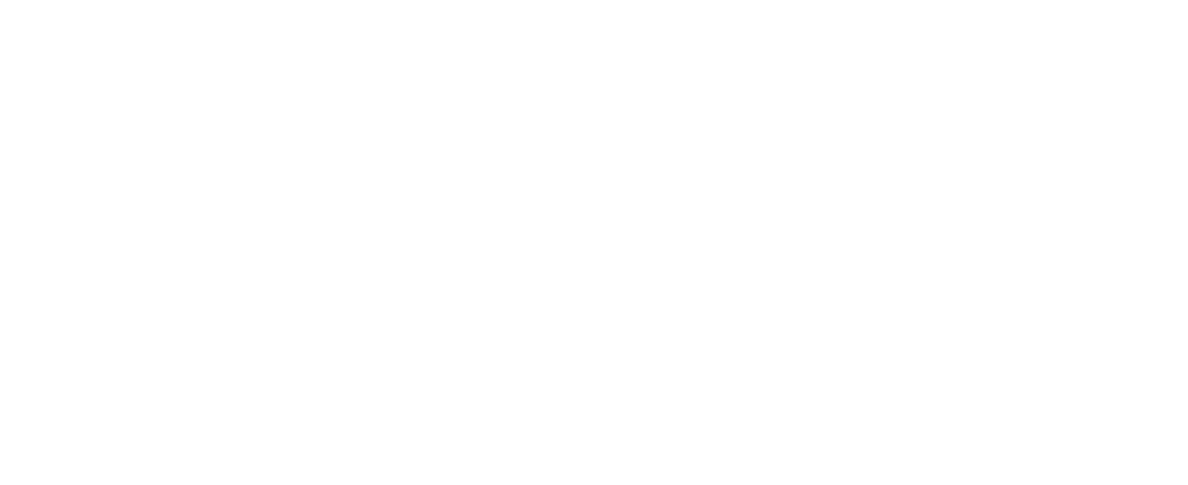 Ship Now Logo